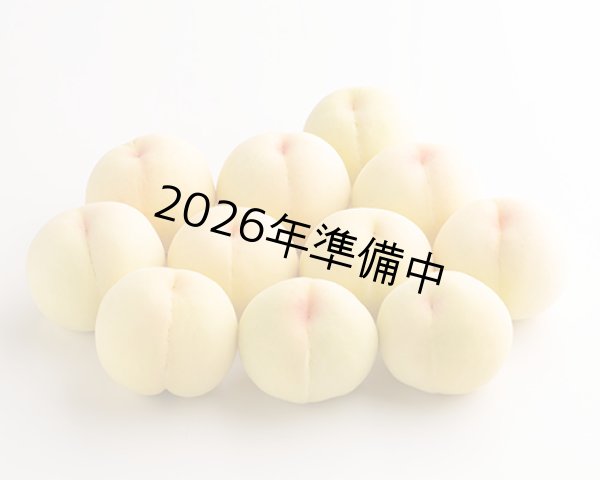 画像2: 清水白桃 特玉（約300ｇ）×ロイヤル8玉入【2026年】（限定100箱） (2)
