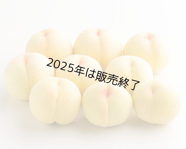 岡山県産桃　清水白桃　大玉　訳あり品② 2026年発送】岡山県産 清水白桃 約2.2kg(大玉6～7玉) | 岡山県