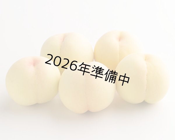 画像2: 清水白桃 大玉（約270ｇ）×エース6玉入【2026年】（限定50箱） (2)