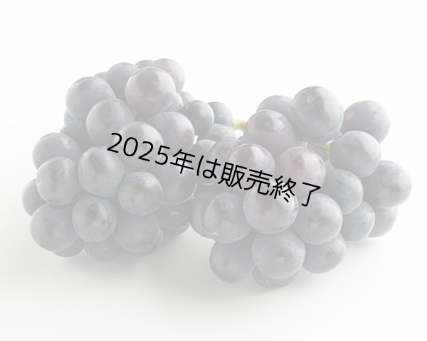 画像2: ニューピオーネ（2房（約1.2kg））【2025年】（限定50箱） (2)