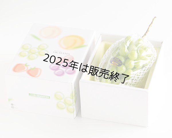 画像3: シャインマスカット「晴王」（1房（約700ｇ））【2025年】（限定100箱） (3)