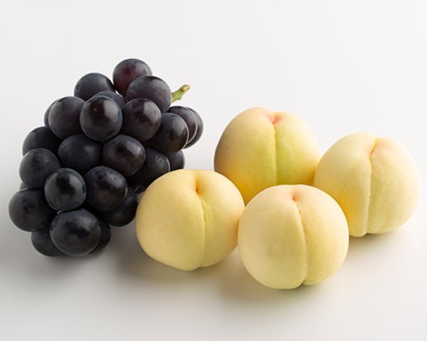 画像2: 岡山の白桃 （約230ｇ）×4玉、ピオーネ（約600g）×1房【2026年】【50セット限定】 (2)