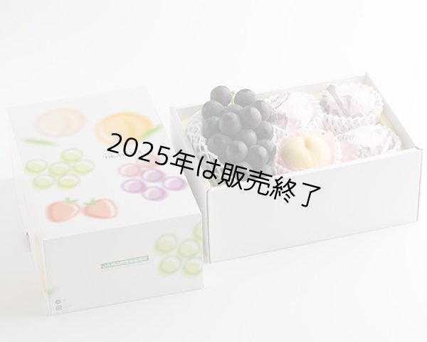画像3: 岡山の白桃 (約230g)×4玉、ピオーネ(約600g)×1房【2025年】【50セット限定】 (3)