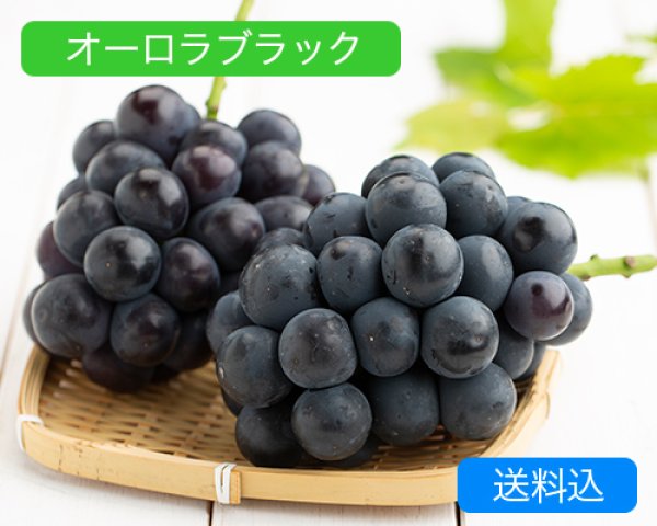 画像1: オーロラブラック（2房（約1.2kg））【2025年】（限定50箱） (1)