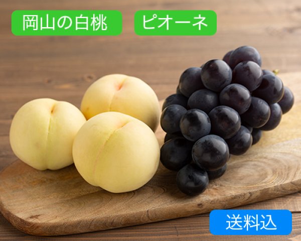 画像1: 岡山の白桃 （約230ｇ）×4玉、ピオーネ（約600g）×1房【2025年】【50セット限定】 (1)