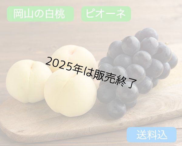 画像1: 岡山の白桃 （約230ｇ）×4玉、ピオーネ（約600g）×1房【2025年】【50セット限定】 (1)