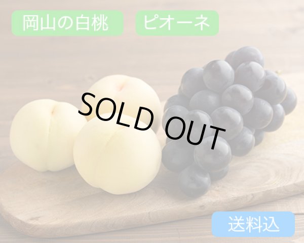 画像1: 岡山の白桃 （約230ｇ）×4玉、ピオーネ（約600g）×1房【2026年】【50セット限定】 (1)