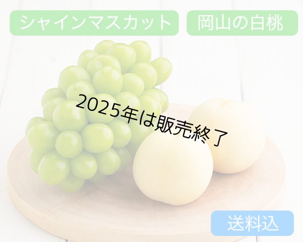 画像1: 岡山の白桃（約230ｇ）×4玉、シャインマスカット「晴王」（1房（約600ｇ））【2025年】【50セット限定】 (1)