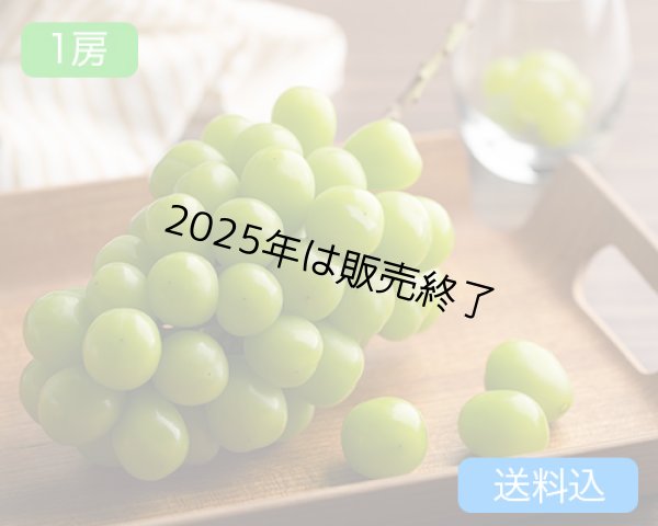 画像1: シャインマスカット「晴王」（1房（約700ｇ））【2025年】（限定100箱） (1)