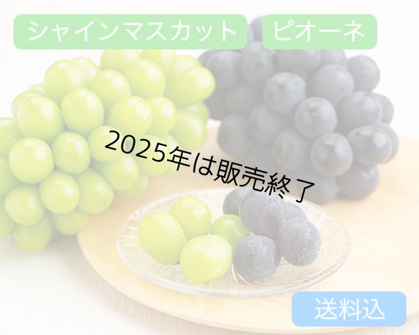 画像1: シャインマスカット「晴王」（1房（約600ｇ））、ピオーネ（約600g）×1房【2025年】 (1)