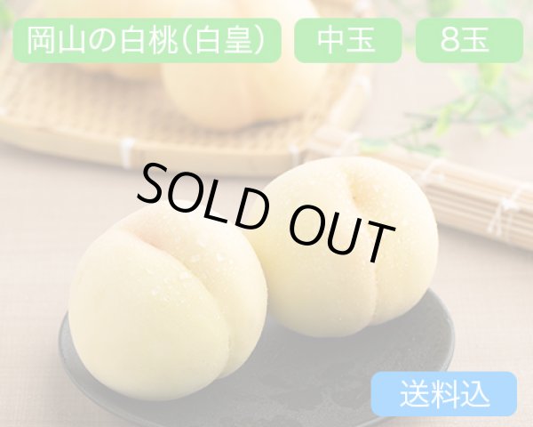 画像1: 岡山の白桃【白皇】中玉（約250ｇ）×ロイヤル8玉入【2026年】（限定100箱） (1)
