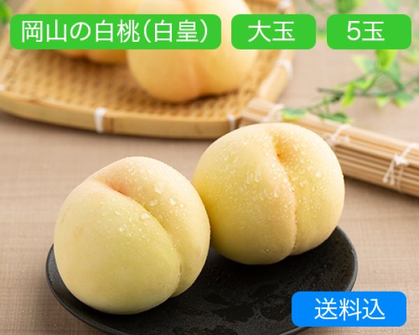 画像1: 岡山の白桃【白皇】中玉（約250ｇ）×ロイヤル5玉入【2025年】（限定100箱） (1)