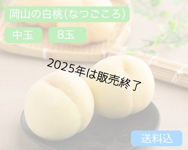 画像1: 岡山の白桃【なつごころ】中玉（約250ｇ）×ロイヤル8玉入【2025年】（限定50箱） (1)
