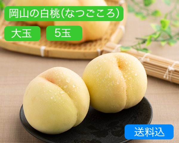 画像1: 岡山の白桃【なつごころ】大玉（約270ｇ）×ロイヤル5玉入【2025年】（限定50箱） (1)