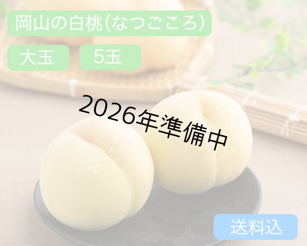 画像1: 岡山の白桃【なつごころ】大玉（約270ｇ）×ロイヤル6玉入【2026年】（限定50箱） (1)