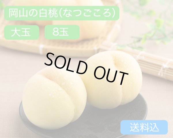 画像1: 岡山の白桃【なつごころ】大玉（約270ｇ）×ロイヤル8玉入【2026年】（限定50箱） (1)