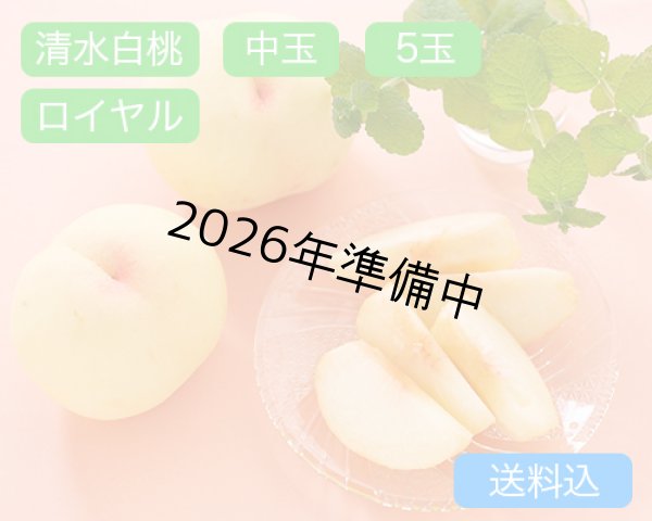 画像1: 清水白桃 中玉（約250ｇ）×ロイヤル6玉入【2026年】（限定200箱） (1)