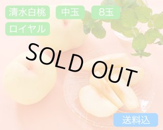 清水白桃 大玉（約270g）×ロイヤル6玉入【2026年】（限定100箱