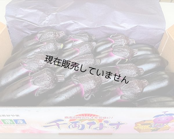 備南千両ナス 1kg箱（12本）出荷規格：□L（カクエル） - はなやか