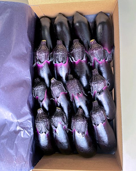 画像2: 備南千両ナス 1kg箱（12本）出荷規格：□L（カクエル） (2)