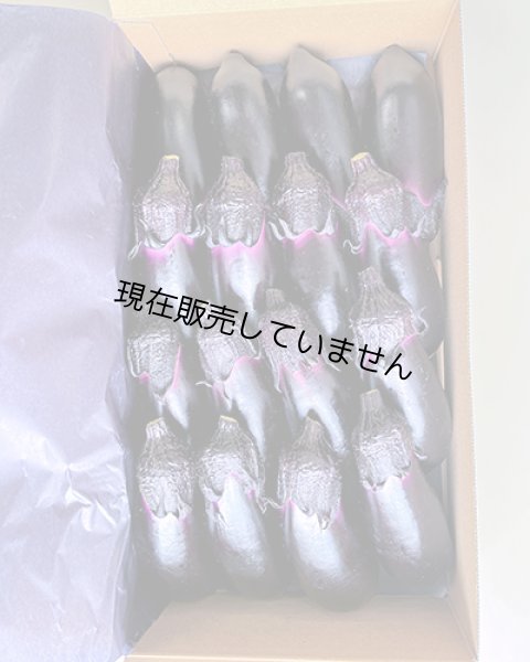 備南千両ナス 1kg箱（12本）出荷規格：□L（カクエル） - はなやか