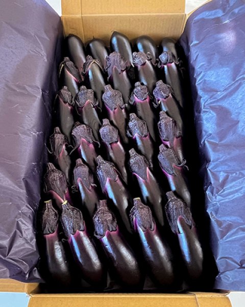 画像2: 備南千両ナス 2kg箱（25本）出荷規格：□L（カクエル） (2)