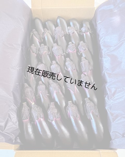 備南千両ナス 2kg箱（25本）出荷規格：□L（カクエル） - はなやか
