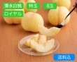 画像1: 清水白桃 特玉（約300ｇ）×ロイヤル8玉入【2026年】（限定100箱） (1)