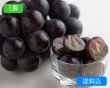 画像1: ニューピオーネ（1房（約625g））【2026年】（限定50箱） (1)