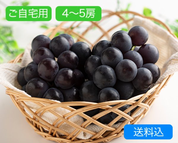 画像1: 【訳あり】ご自宅用ピオーネ(4〜5房(約2kｇ))【2026年】（限定３０箱） (1)