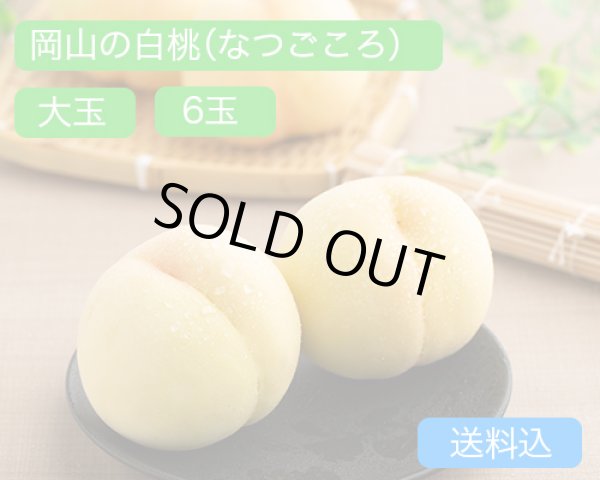 画像1: 岡山の白桃【なつごころ】大玉（約270ｇ）×ロイヤル6玉入【2026年】（限定50箱） (1)