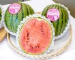 画像1: ピノ・ガール™　（1玉・約2kg）（限定100箱）【2025年】 (1)