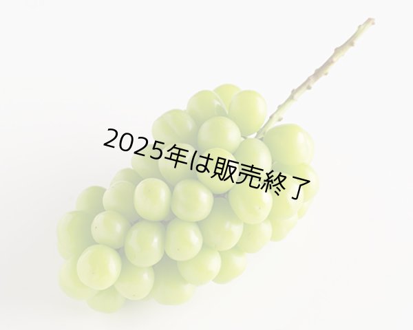 画像2: シャインマスカット「晴王」（1房（約700ｇ））【2025年】（限定100箱） (2)