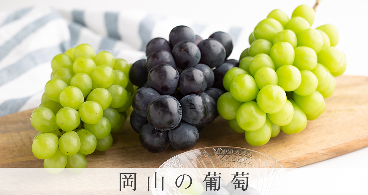 岡山の葡萄
