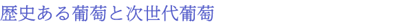 歴史ある葡萄と次世代葡萄