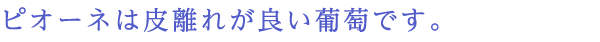 ピオーネは皮離れが良い葡萄です。