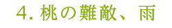 4.桃の難敵、雨