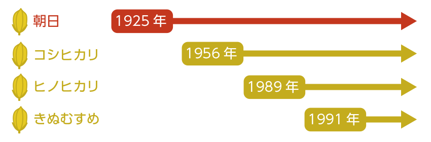 お米が生まれた年代の図