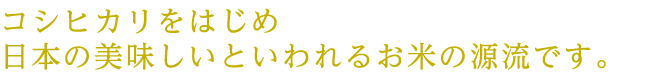 コシヒカリをはじめ日本の美味しいといわれるお米の源流です。