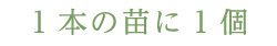 一本の苗に1個