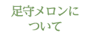 足守メロンについて