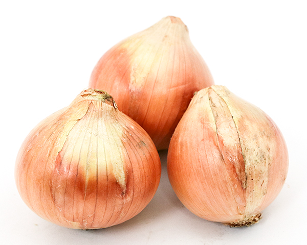 たまねぎ 1袋5個前後 はなやかオンライン Ja岡山