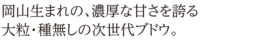 岡山生まれの、濃厚な甘さを誇る大粒・種無しの次世代ブドウ。