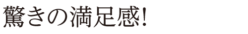 驚きの満足感！