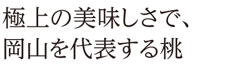極上の美味しさで、岡山を代表する桃