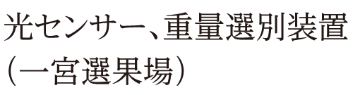 光センサー、重量選別装置（一宮選果場）