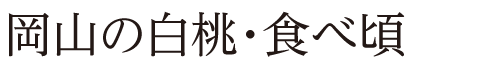岡山の白桃・食べ頃