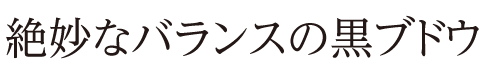 絶妙なバランスの黒ブドウ