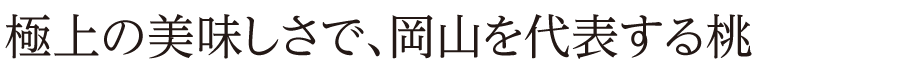 極上の美味しさで、岡山を代表する桃