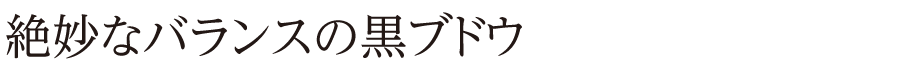 絶妙なバランスの黒ブドウ
